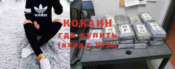 спайс Гвардейск
