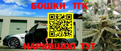 гашик Дубна