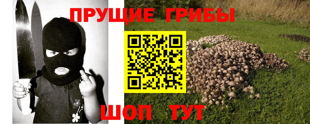 Зеленокумск  Псилоцибиновые грибы Psilocybe  Вход с VPN 