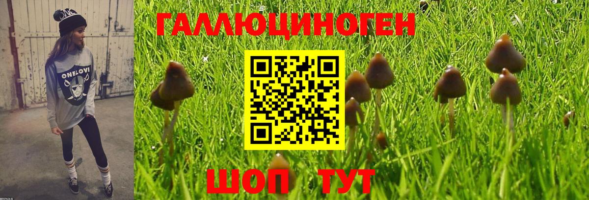 Галлюциногенные грибы прущие грибы Зеленокумск